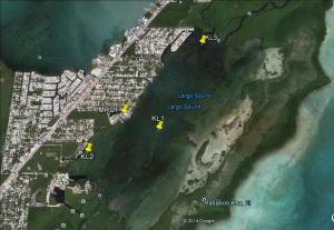 three sites surveyed quarterly by MarineLab staff in Largo Sound