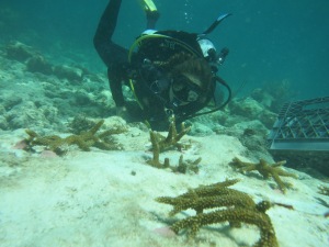 Posing with some outplanted coral